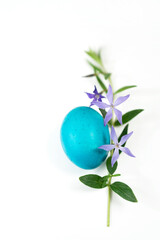 easter egg and periwinkle on on a white background. easter spring flowers. spring