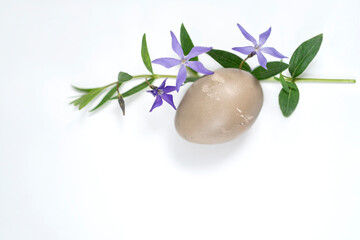 easter egg and periwinkle on on a white background. easter spring flowers. spring