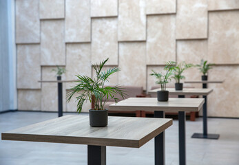 Modern hotel lounge with high tables and indoor plants.