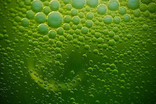 green bubbles