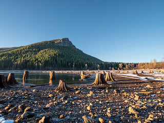 Lake Stumps