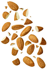 almond nut food healthy organic natural ingredient snack isolated seed brown fruit closeup nutrition group