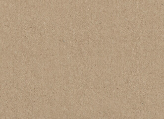 Fototapeta na wymiar brown craft paper background. brown paper texture, space for text