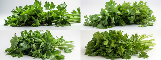 parsley, herb, food, plant, leaf, isolated, vegetable, fresh, spice, ingredient, healthy, white, bunch, pot, vegetarian, cooking, nature, organic, closeup, aromatic, leaves, garden, raw, salad, green