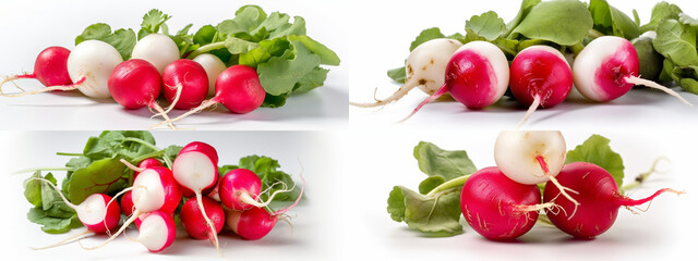 radish, salad, food, tomato, vegetable, healthy, fresh, meal, plate, lettuce, green, diet, vegetarian, vegetables, red, appetizer, tomatoes, cheese, dinner, cucumber, mozzarella, white, dish, basil, i