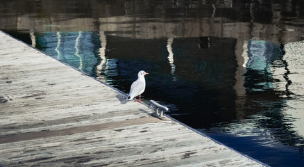 Obraz premium Famous attractions in Swansea and Oxford