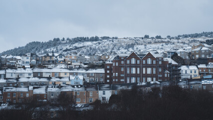 Obraz premium swansea snowy