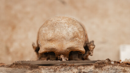 Old skulls in the catacombs closeup