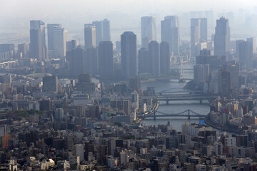 Obraz premium Panoramic aerial view of Tokyo, Japan. Tokyo urban city view from above