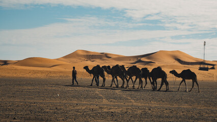 Morocco Sahara Desert
