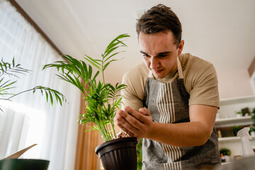 man gardener florist take care grow cultivate plants at home