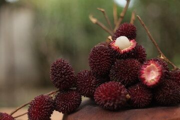 Maritam Kalimantan Local Fruit
