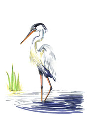 A gray heron stands in the water on one leg, drawing with markers and watercolor.