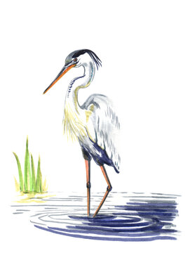 recommend clip art: A gray heron stands in the water on one leg, drawing with markers and watercolor.