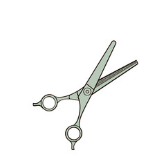 hairdressers thinning scissors