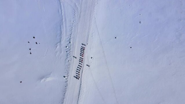 A group of climbers makes an acclimatization hike on Mount Elbrus