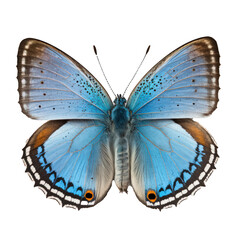 This image features a stunning blue butterfly captured on a transparent background, allowing its intricate details and vibrant colors to truly stand out.Generative AI
