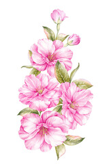 Fototapeta na wymiar Bouquet of spring flowers. Pink spring floral