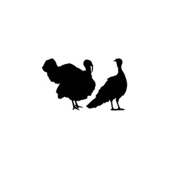 Pair of Turkey Silhouette for Art Illustration, Pictogram or Graphic Design Element. The Turkey is a large bird in the genus Meleagris. Vector Illustration
