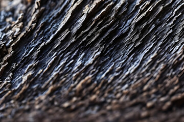 wood texture