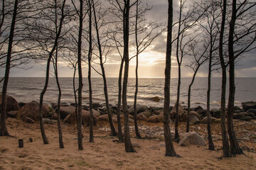 A beautiful spring day on the shore of the Baltic Sea. Latvia