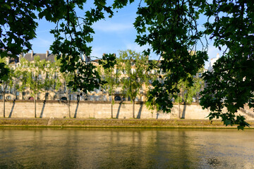 The Quai de Bourbon de l ile Saint Louis , in Europe, France, Ile de France, Paris, Along the Seine, in summer, on a sunny day.
