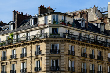 Fototapeta na wymiar The Haussmann buildings of Ile Saint Louis , Europe, France, Ile de France, Paris, in summer on a sunny day.
