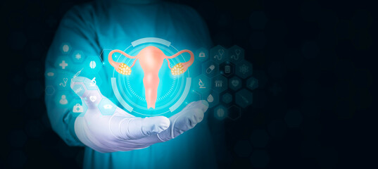 Female reproductive health concept. endometriosis, PCOS, gynecologic cancer, cervical cancer,...