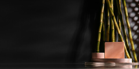Empty podiums with green bamboo branches on dark background with space for text
