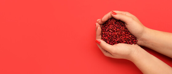 Female hands holding dried barberries on red background with space for text