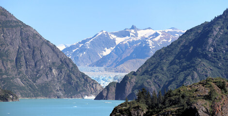 Snow-capped mountains and a glacer of Tracy Arm Fjord