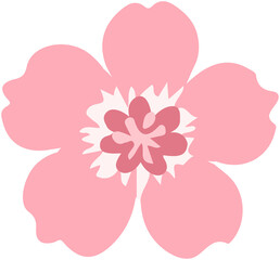 Cherry Blossom Icon