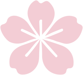 flower  Silhouette icon