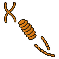 illustration of virus