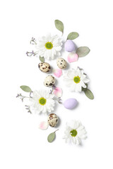 Composition with Easter eggs, chamomile flowers and eucalyptus branches isolated on white background