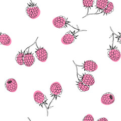 Vector seamless pattern with raspberries isolated on white. Hand-drawn texture with fresh fruits. - 585268839