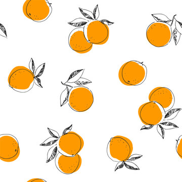 Vector seamless pattern with orange isolated on white. Hand-drawn texture with fresh fruits.