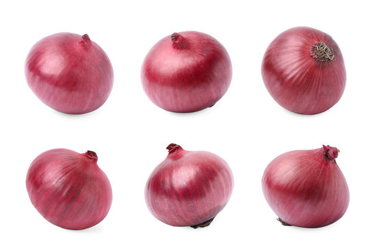 Collage with red onion bulbs on white background