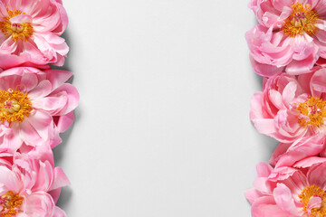 Beautiful pink peonies on white background, flat lay. Space for text