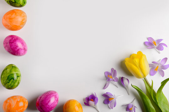 Composition with painted Easter eggs and spring flowers on light background