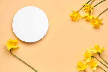 Beautiful narcissus and round blank card on color background © Pixel-Shot