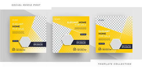 Obraz na płótnie Canvas Elegant Home for sale social media post banner template