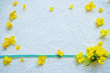 ふわふわの布の白バックに1本の水色の細いリボンと菜の花でデコレーションしたフレーム素材