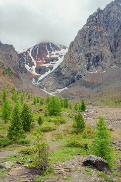 Maliy Aktru glacier in the Altay mountains 