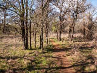 Red clay hiking trail meanders through wooded area