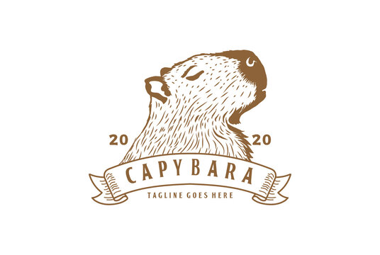 Vintage Retro Hand Drawn Capybara Head with Ribbon Logo Design