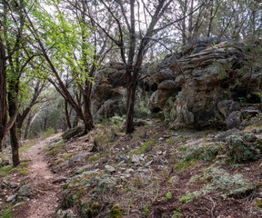 Hiking trail at Colorado Bend State Park passes by rock outcrop