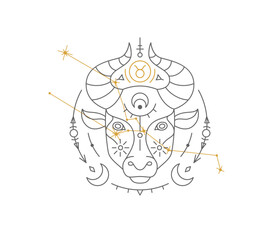 Taurus astrological symbol with Zodiac constellation, connected stars. Bull astrology horoscope sign and stars on white background thin line vector illustration