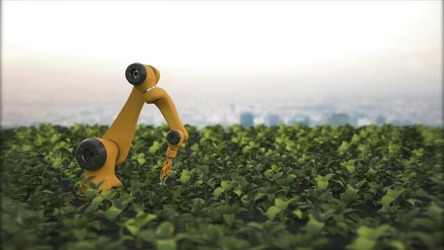 Robotic hands take care of fresh, young, green plants. Artificial intelligence in agriculture. New technologies for growing vegetables and cereals