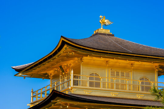 金閣寺 Images – Browse 301 Stock Photos, Vectors, and Video